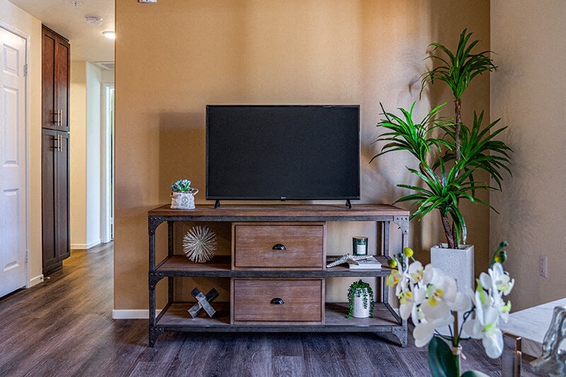 Apartment Living Room - Model TV