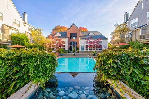 pool