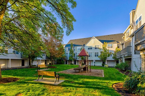 playground