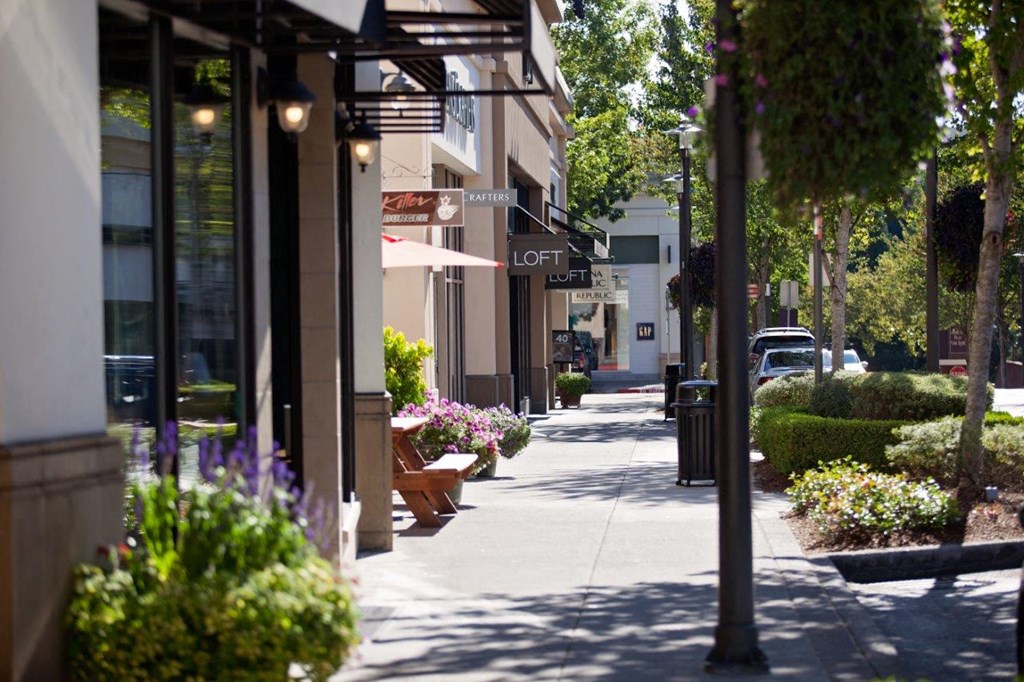 neighborhood shopping at Lionsgate South, Hillsboro, 97124