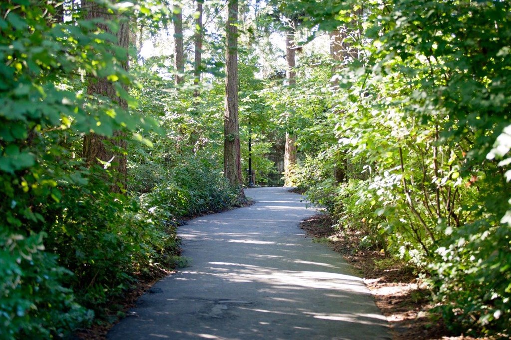 walkway with bushes and trees at Lionsgate South, Hillsboro, OR