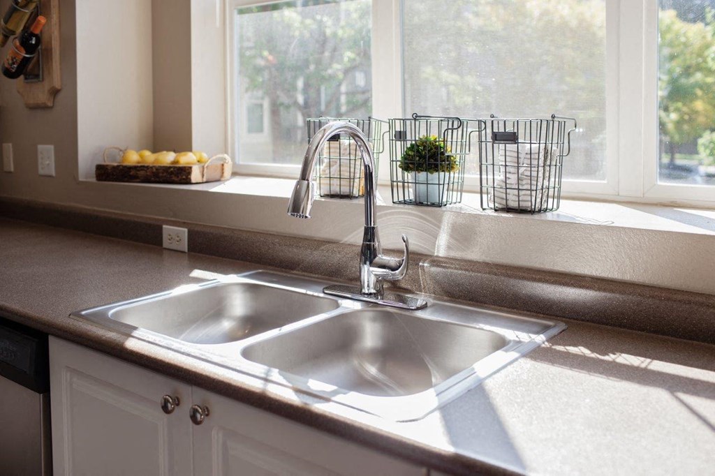 kitchen sink at Lionsgate South, Oregon, 97124