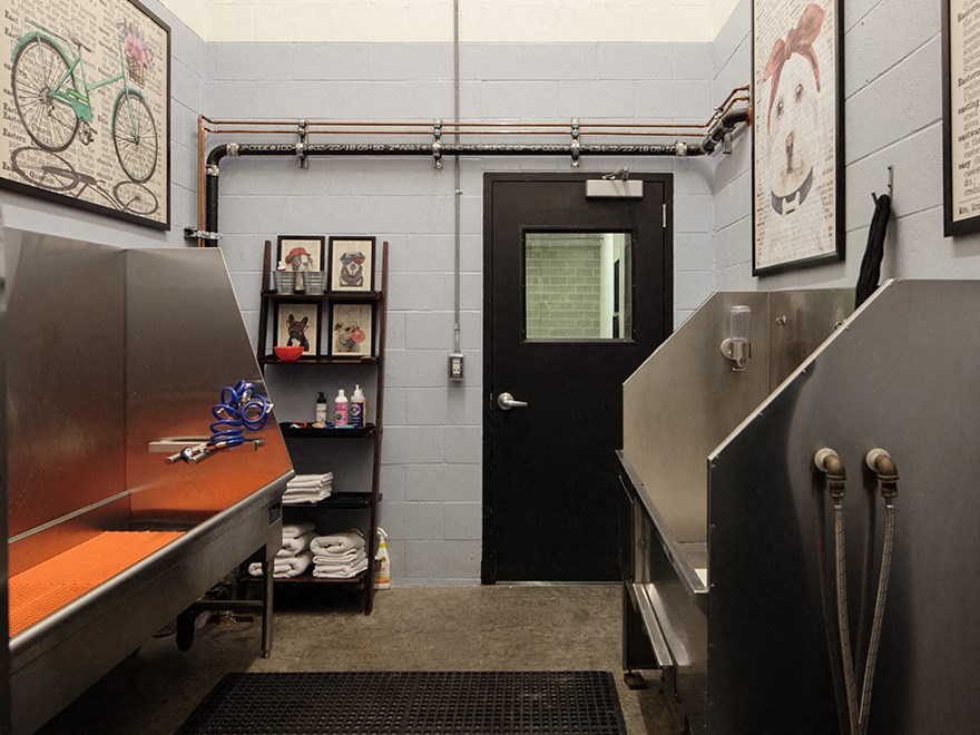 pet wash station at The Wyatt, Portland, OR