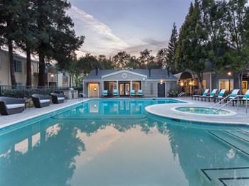 resort style pool - Photo Gallery 16