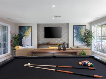 Game room with billiards - Photo Gallery 8