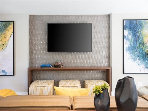 lounge room tv