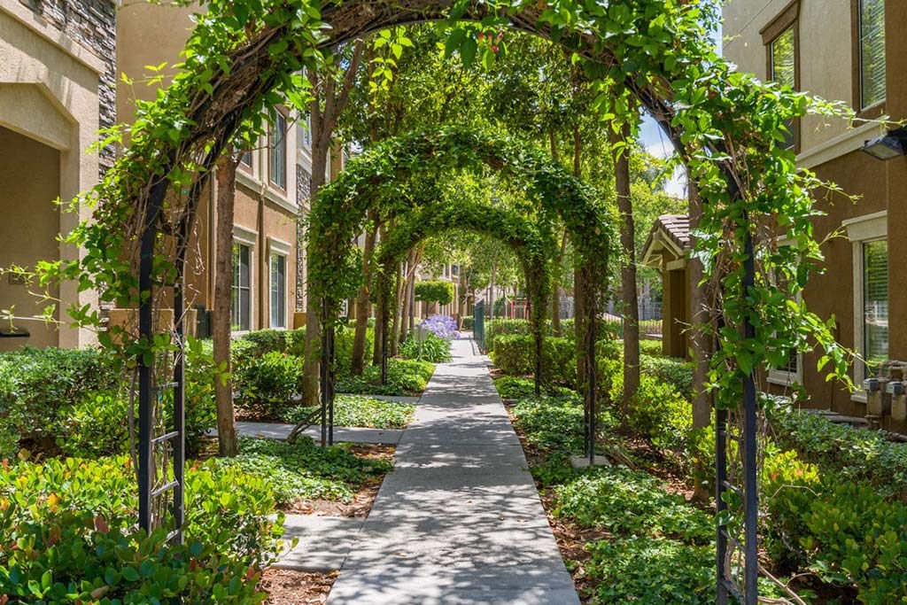 Lush Green Courtyard With Walking Paths at Terra Vista, Chula Vista