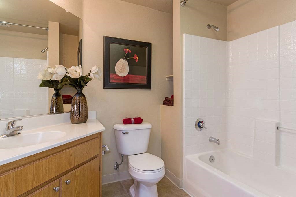 Model Bathroom at Terra Vista, Chula Vista, CA, 91913