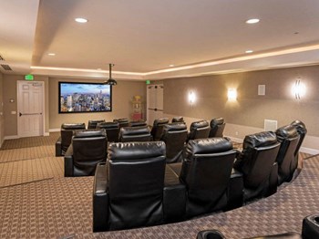 Beautifully Appointed Movie Room at Greenfield Village, San Diego, 92154 - Photo Gallery 42