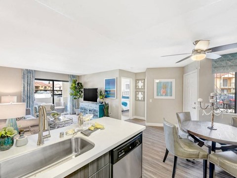 a kitchen and living room with a table and a sink