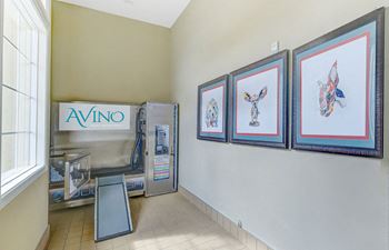 Dog Wash at Avino in San Diego, 92130