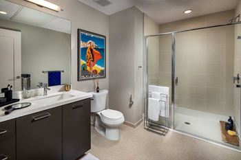 Luxurious Bathroom at AV8, California