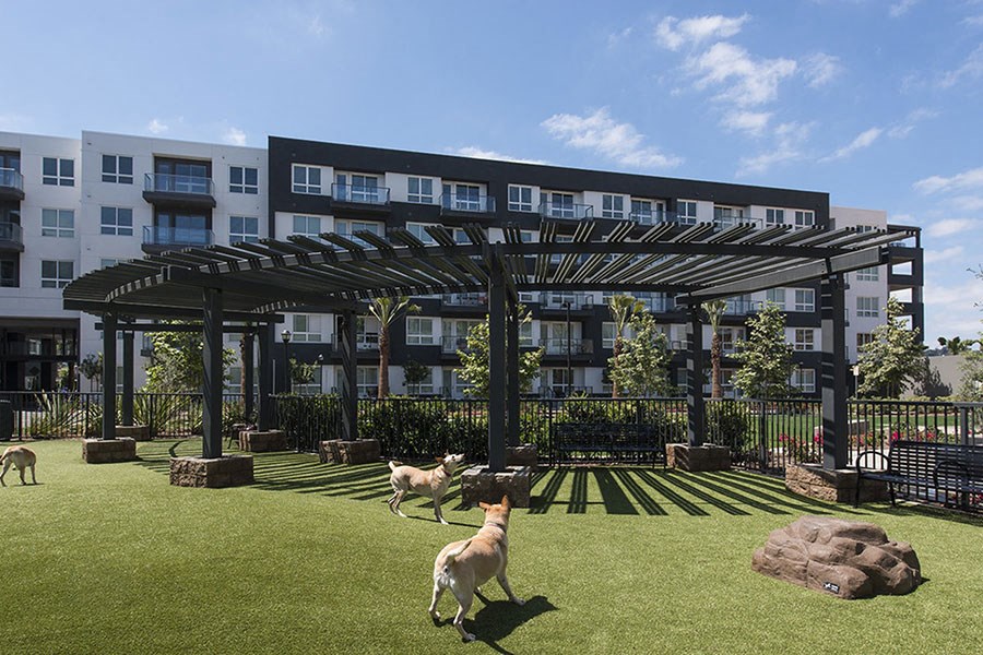 dog park at Vora Mission Valley, San Diego, California