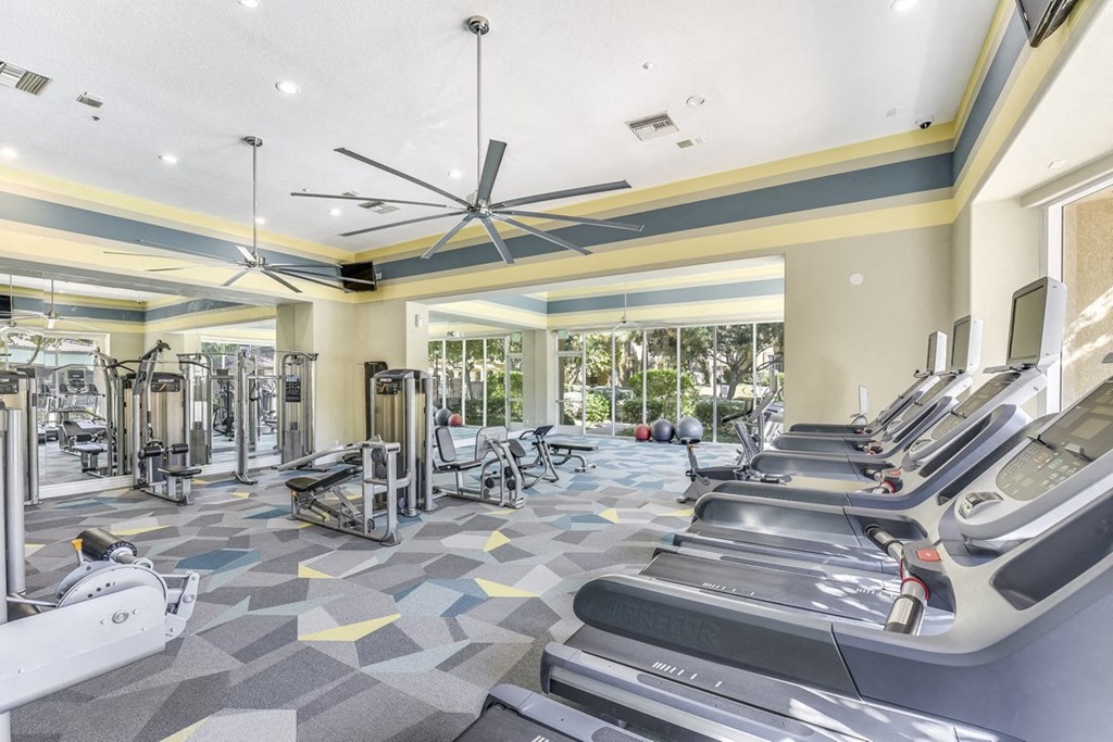A gym with treadmills, elliptical machines, and a fan.