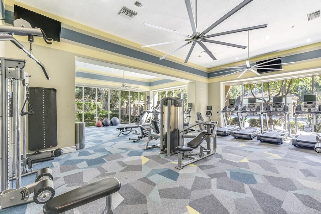 A gym with a variety of equipment including weights and cardio machines.