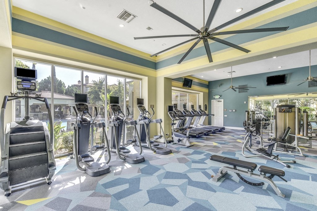 A gym with a variety of equipment including treadmills, weights, and a bench press.