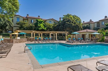 Swimming Pool - Photo Gallery 6