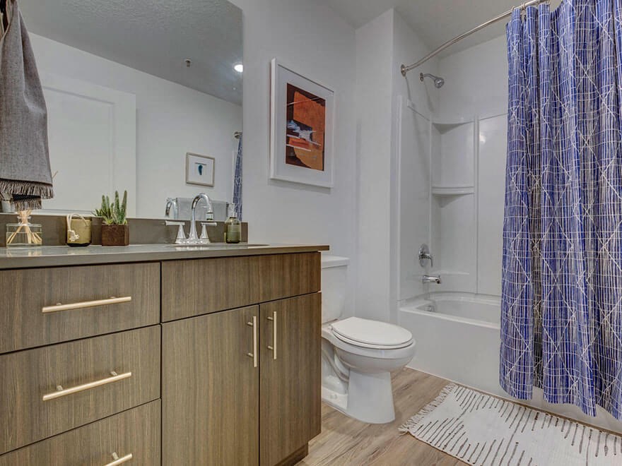 Model apartment home bathroom