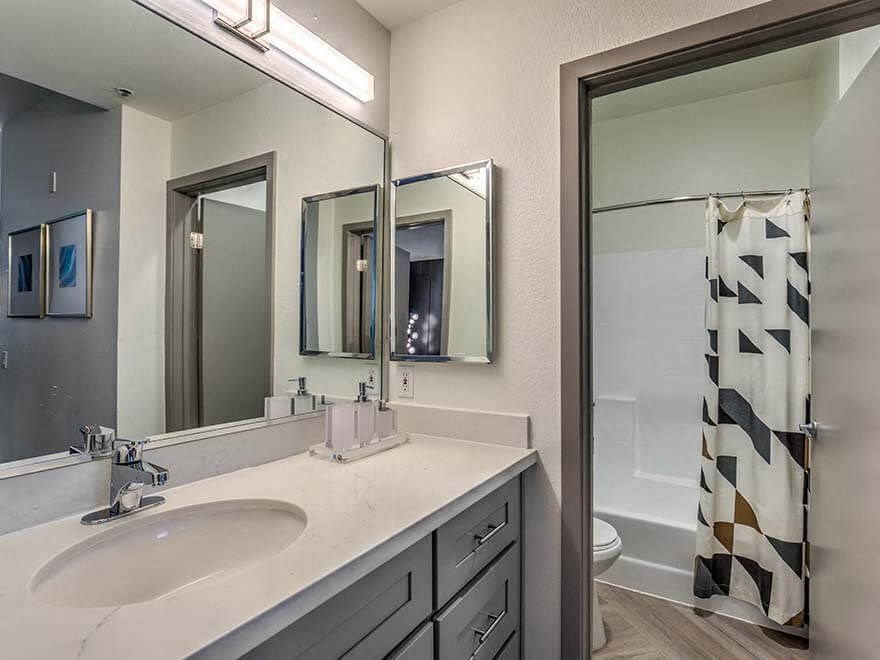 a bathroom with a sink and a mirror and a shower