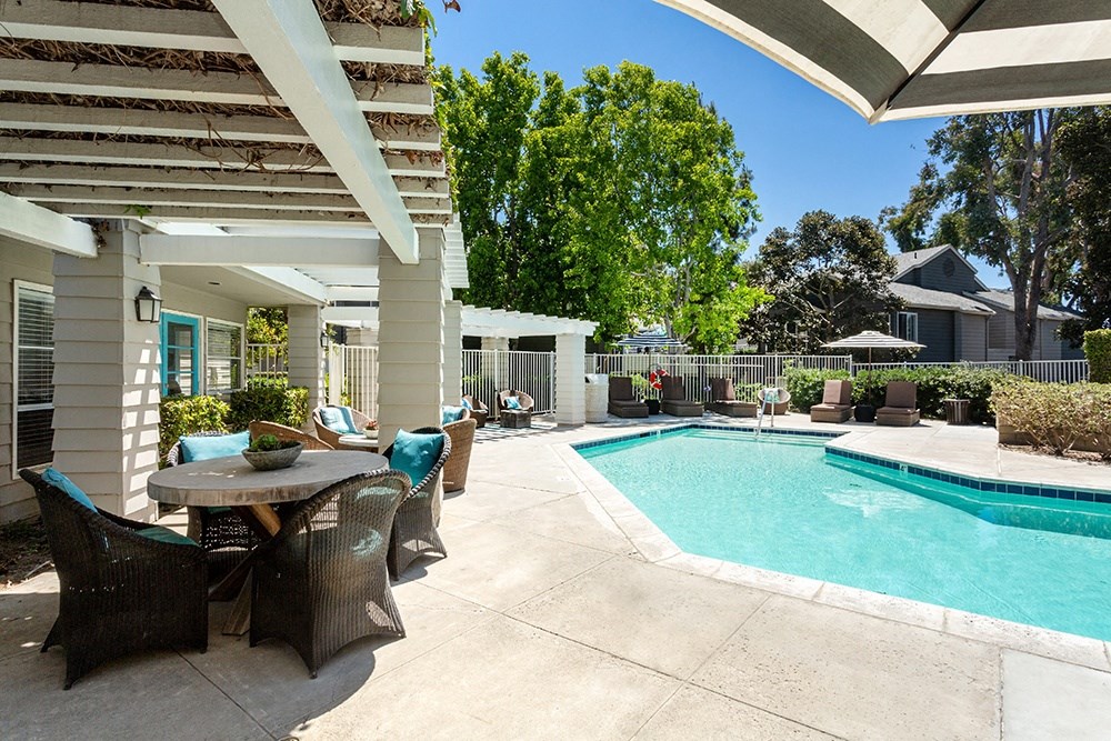 pool and outdoor lounge