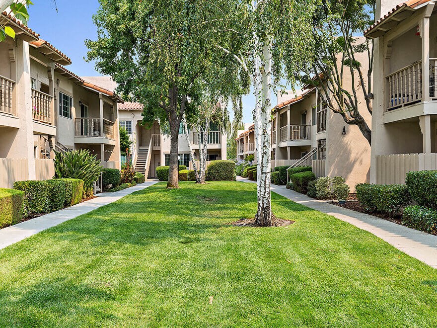 beautiful green belt