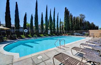 A pool surrounded by tall trees and lounge chairs at The Casas Apartments, California