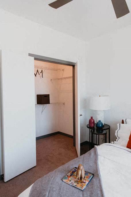 a bedroom with a bed and a closet