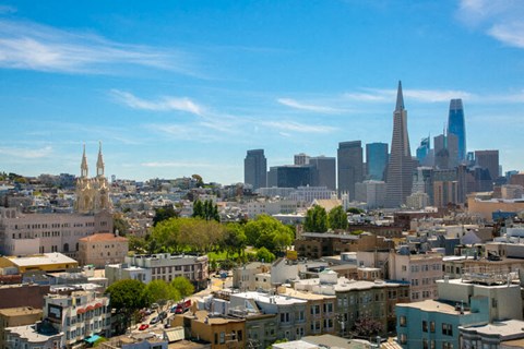 a view of the san francisco skyline