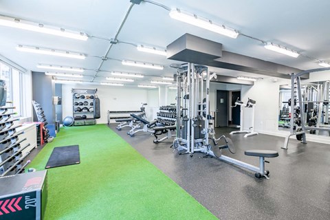 a gym with weights and cardio equipment and green carpet