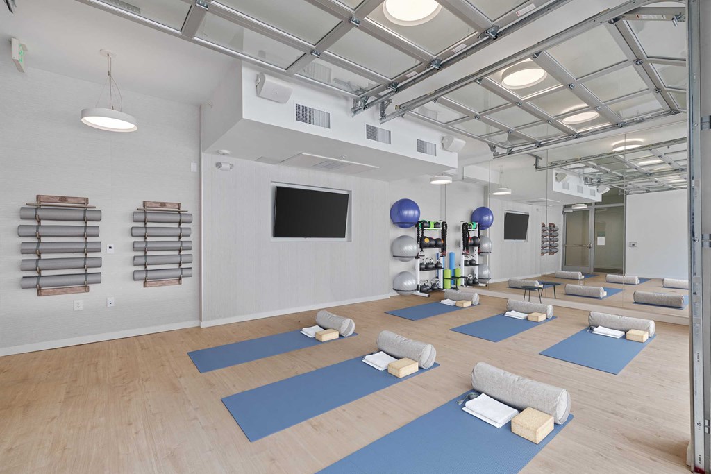 a spacious yoga room with yoga mats and a tv