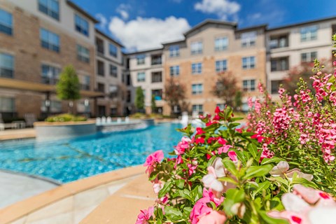 Swimming pool view building at Auxo at Memorial, Texas, 77024