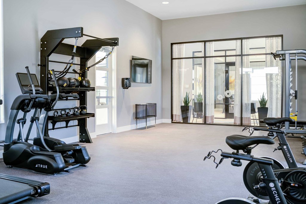 the gym in the owners home