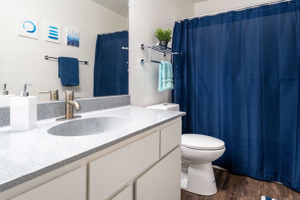 a bathroom with a blue shower curtain and a toilet and sink