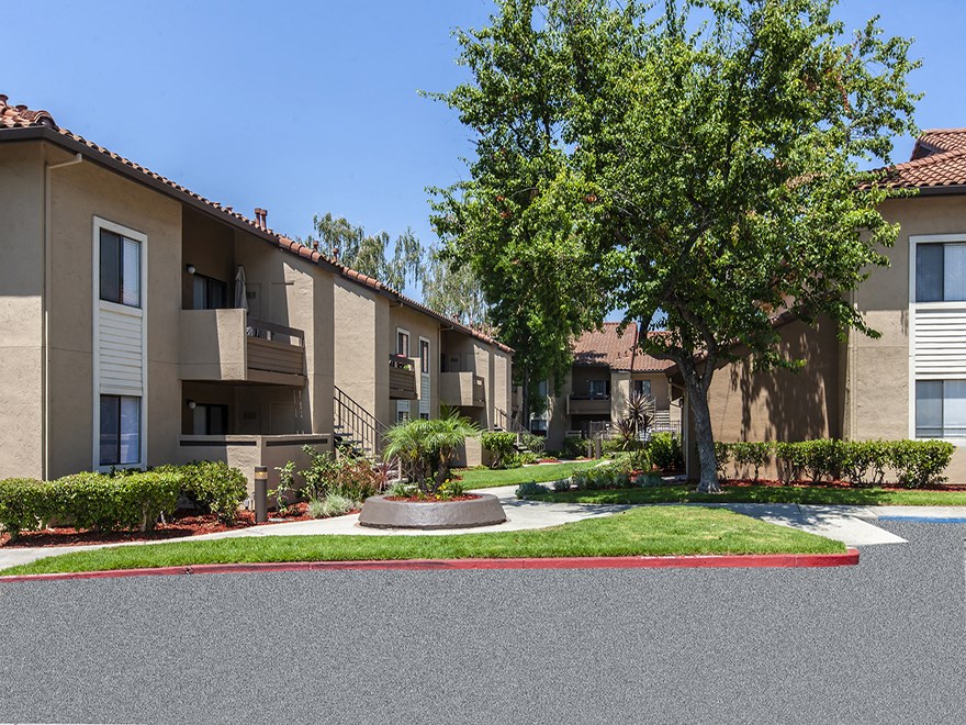 an exterior view of an apartment building with a tree in the middle