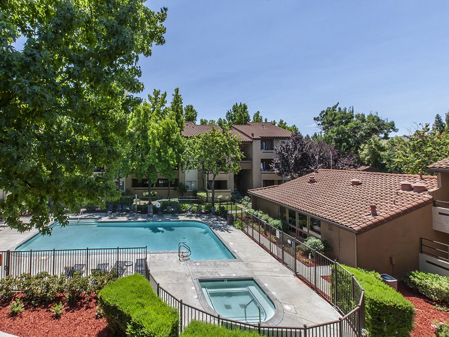 our apartments have a swimming pool and a courtyard with trees