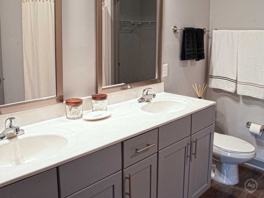 a bathroom with two sinks and a toilet and a mirror