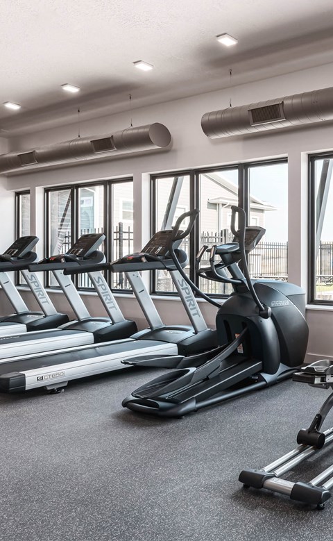 a gym with treadmills and other cardio equipment on the floor