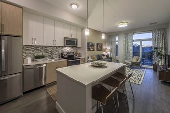 Stainless Steel Appliances