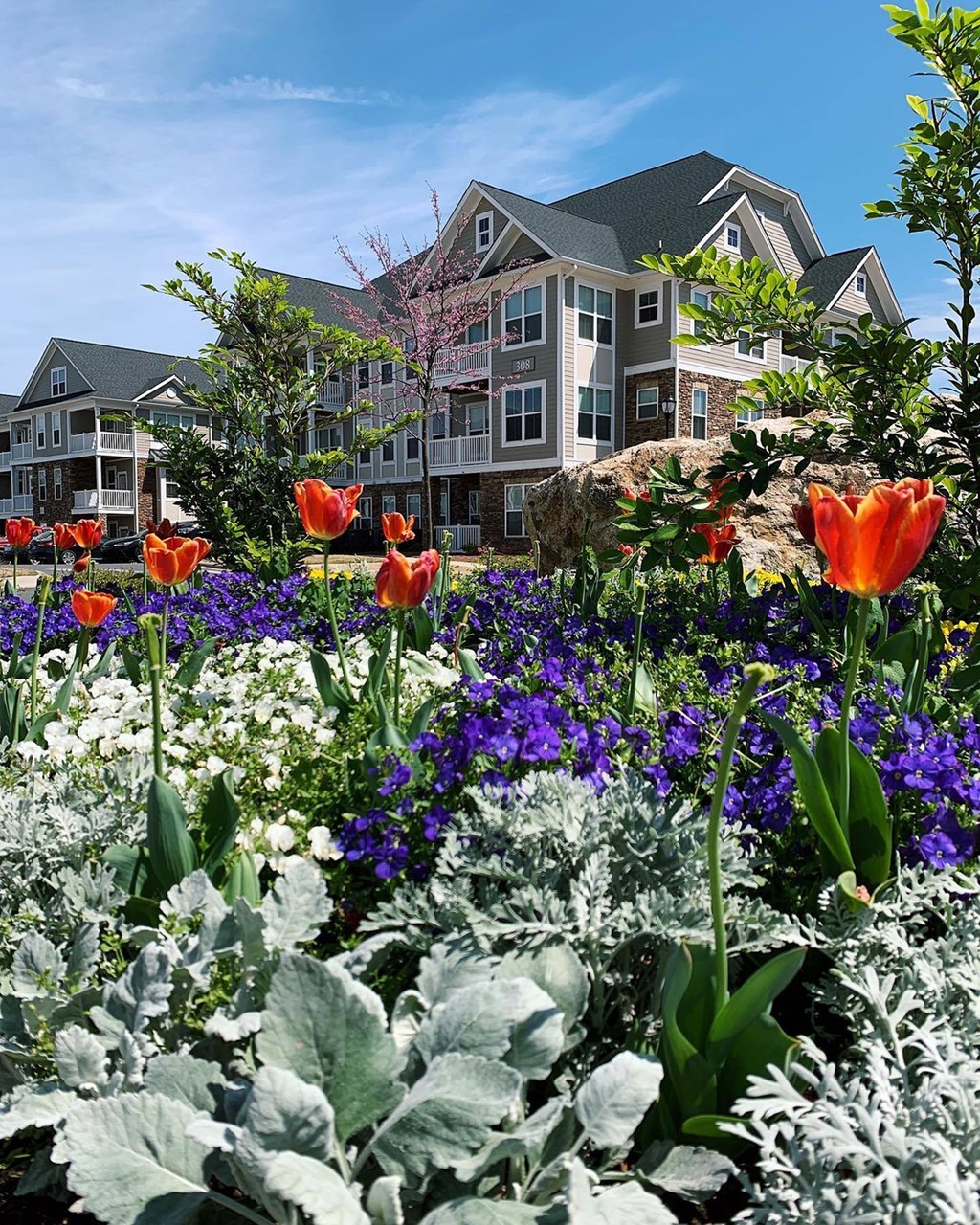 a garden with flowers and houses in the background