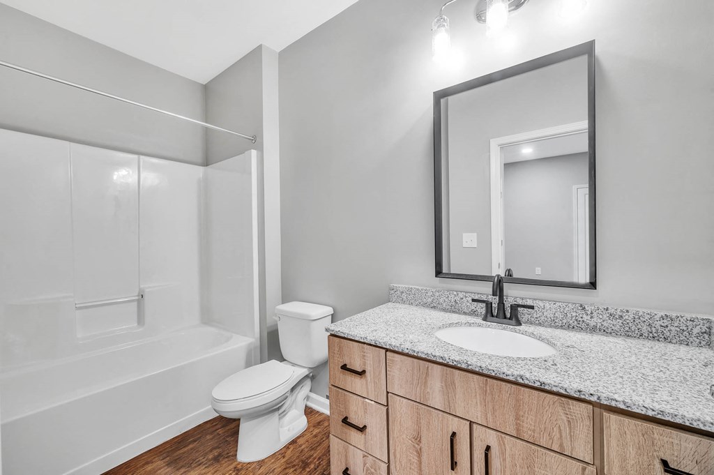 a bathroom with a mirror and a toilet and a sink