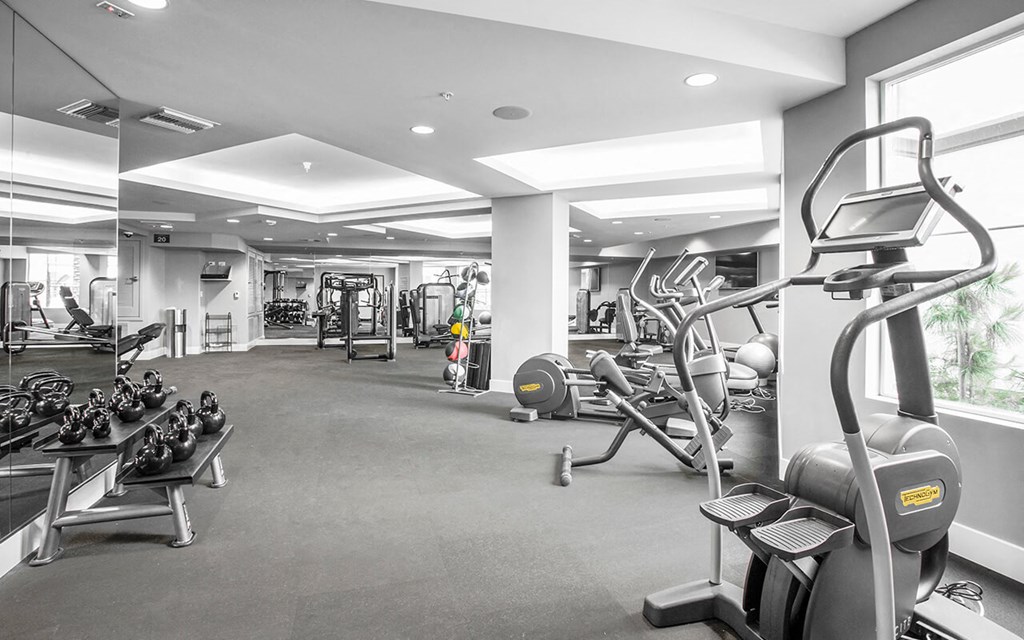 the gym is equipped with state of the art equipment