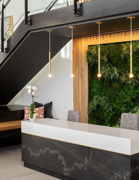 a kitchen with a counter and a green wall