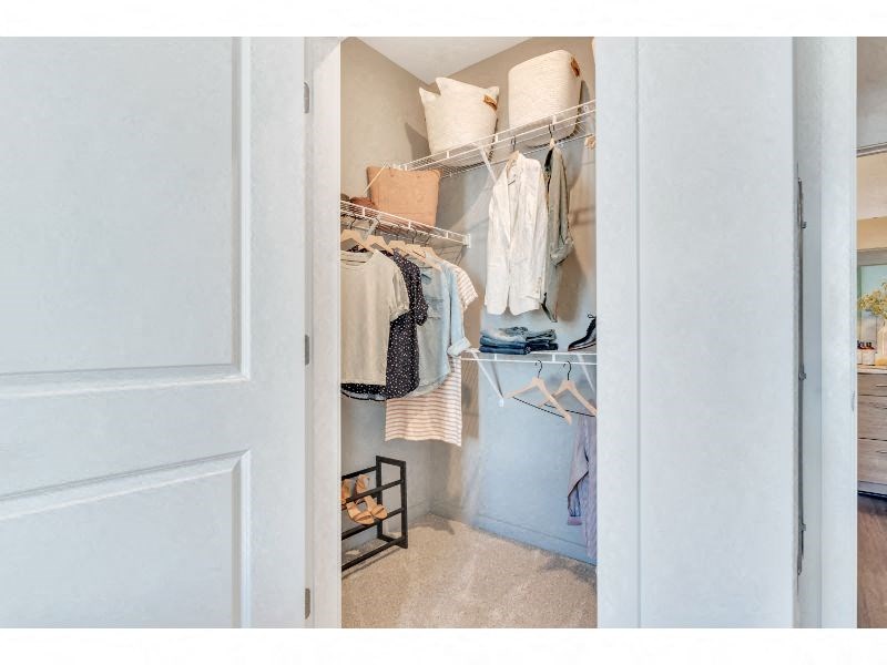 a closet with clothes hanging in it and a door