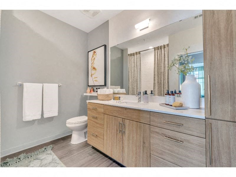 a bathroom with a sink and a toilet and a mirror