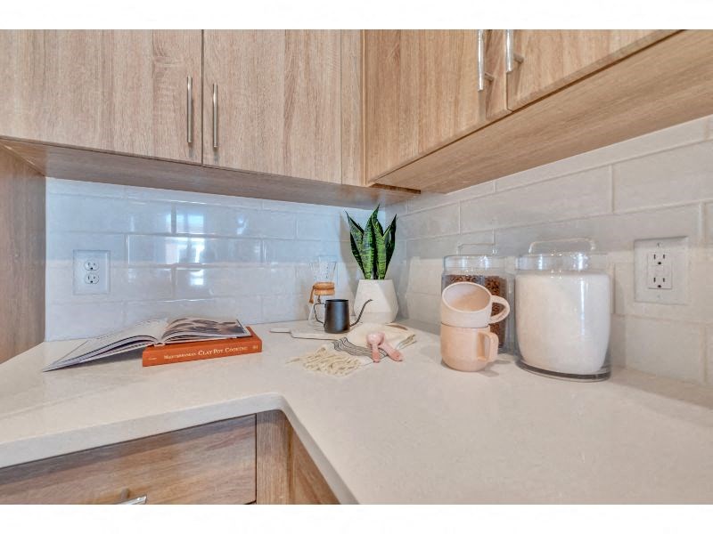 a kitchen counter with a coffee pot and a plant