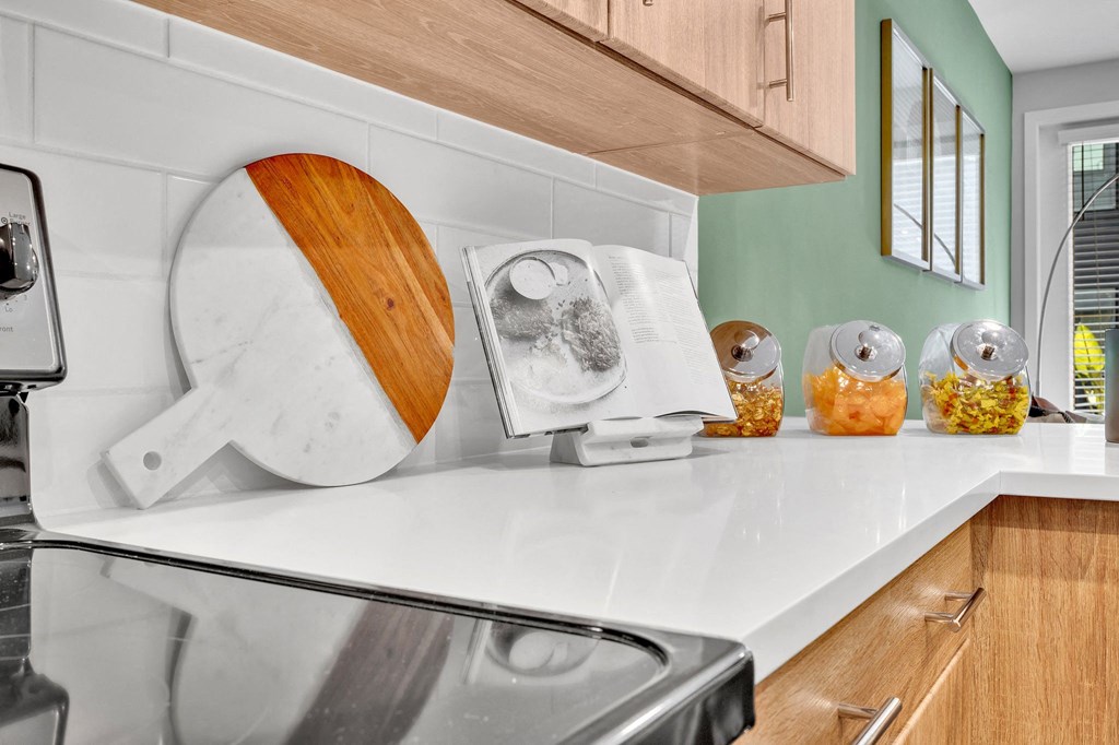 a kitchen with a sink and a toaster on the counter
