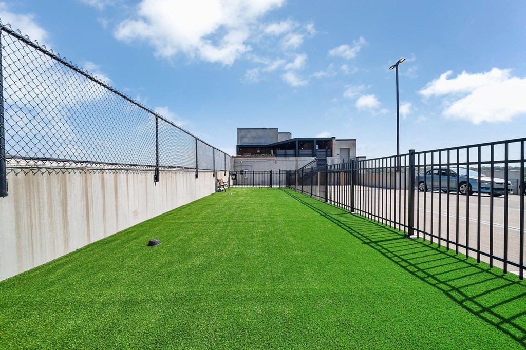 a grass lawn in front of a chain link fence