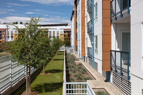 a view of the courtyard of an apartment building with grass and trees