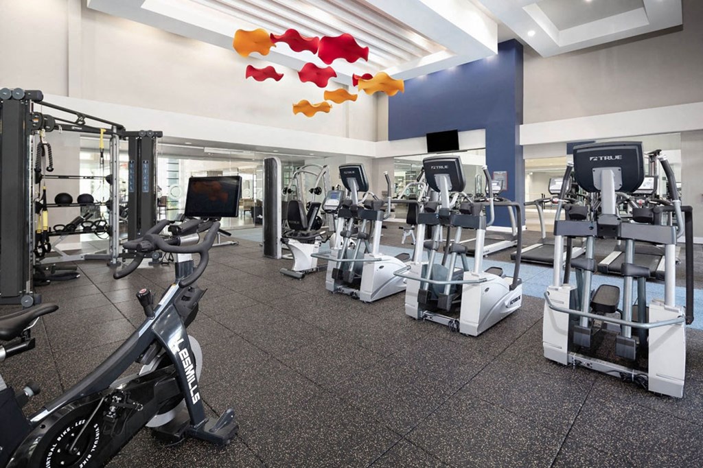 a gym with cardio machines and weights in a large room