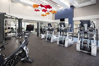 the gym is equipped with state of the art equipment